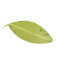 Decorative leaf